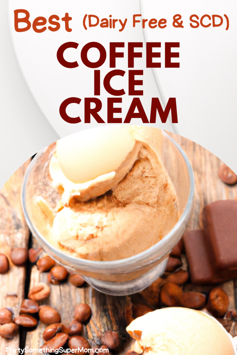 Best Coffee Ice Cream Recipe Dairy Free SCD ThirtySomethingSuperMom