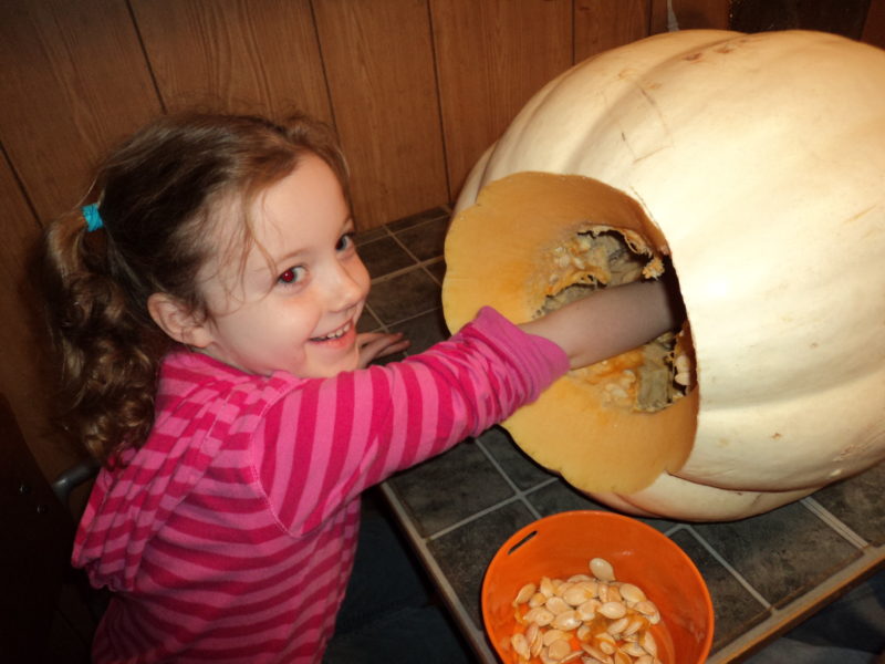 Halloween Pumpkin Carving Fun 