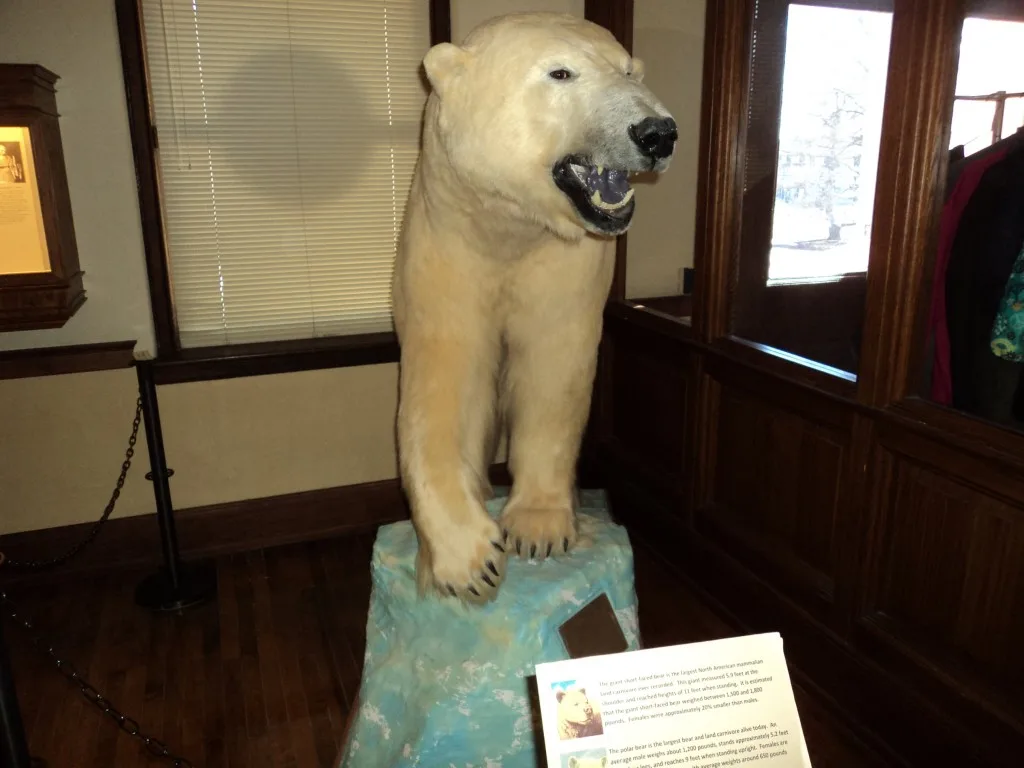 Museum of Natural History Iowa City