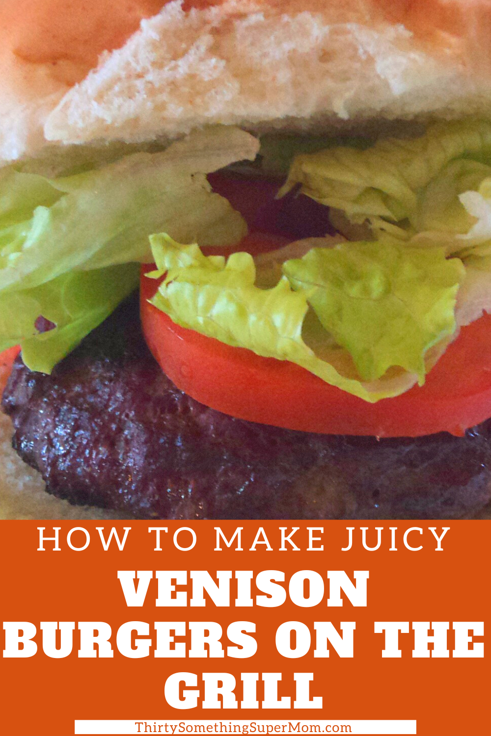 Grilled Venison Burgers Recipe 