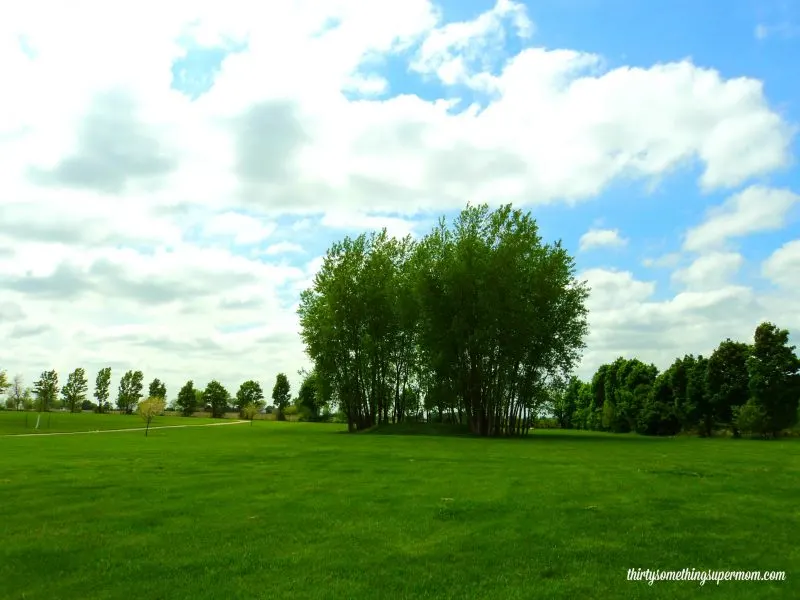 Fun Outdoor Family Activity: Disc Golf