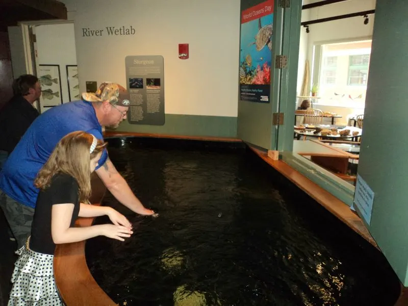 National Mississippi River Museum