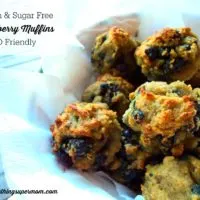 scd gluten free blueberry muffins recipe