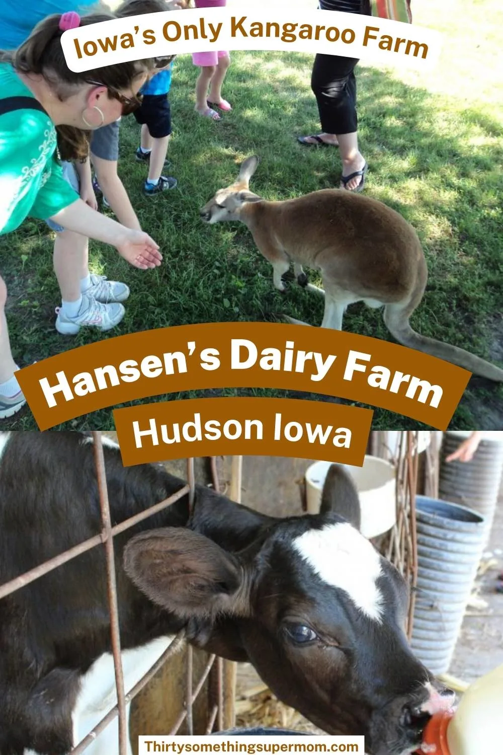 Hansen's Dairy Farm