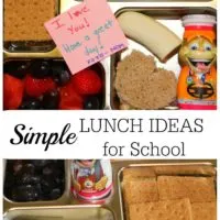 Simple Lunch Ideas for School