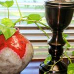 Tips for Preparing Plants for Cold Weather
