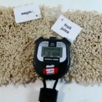 Remove Carpet Stains Fast