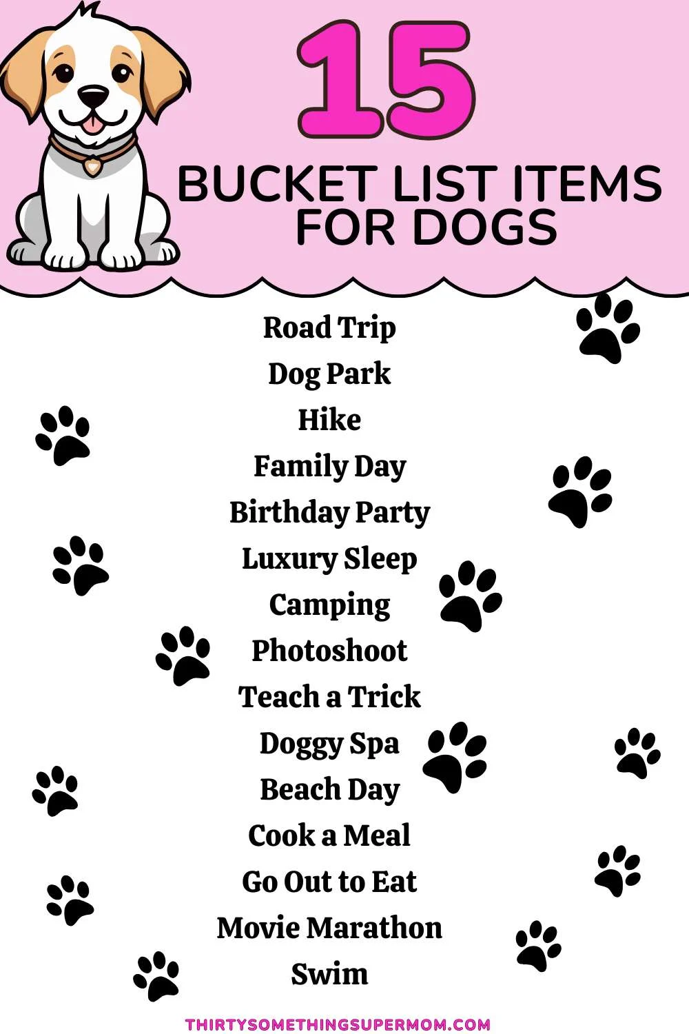 15 dog bucket list items