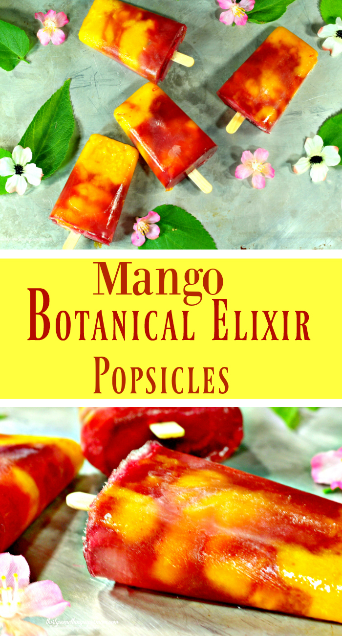 Finished product of Botanical Elixir Mango Popsicle Recipe 