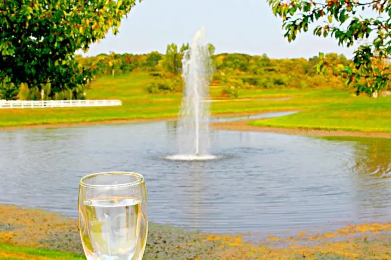 Easy Ways to Drink More Water