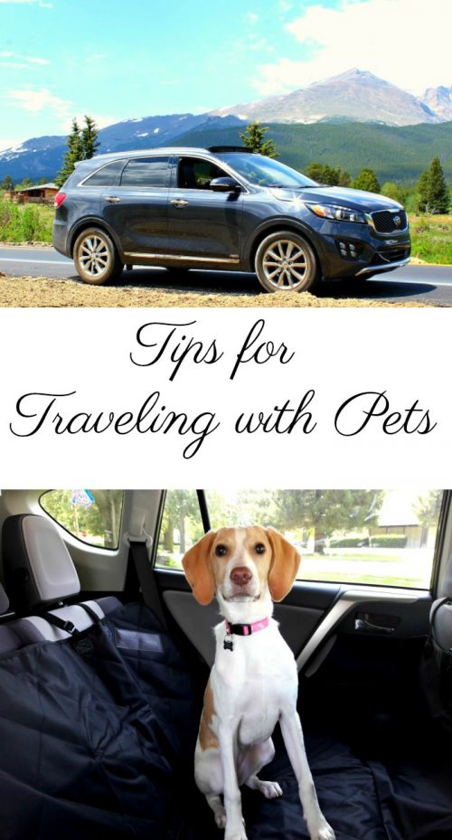 Tips for Traveling with Pets ThirtySomethingSuperMom