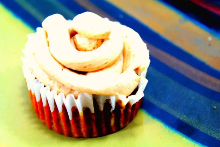 SCD Pumpkin Spice Cupcakes