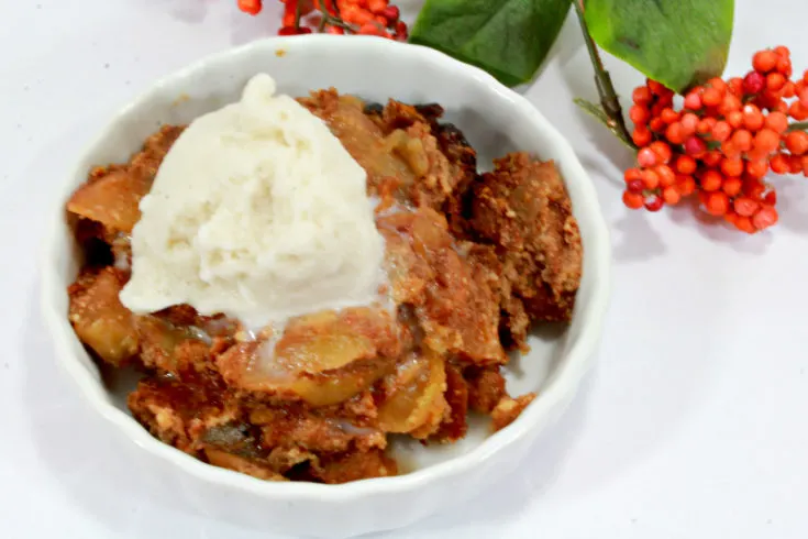 SCD CrockPot Apple Cobbler Paleo