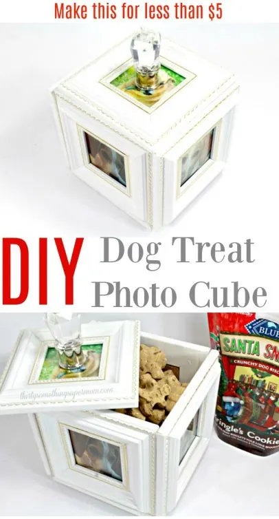 DIY Pet Food Storage Bin And Treat Containers