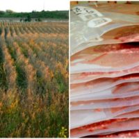 tips for making the field to freezer process easier are for hunters
