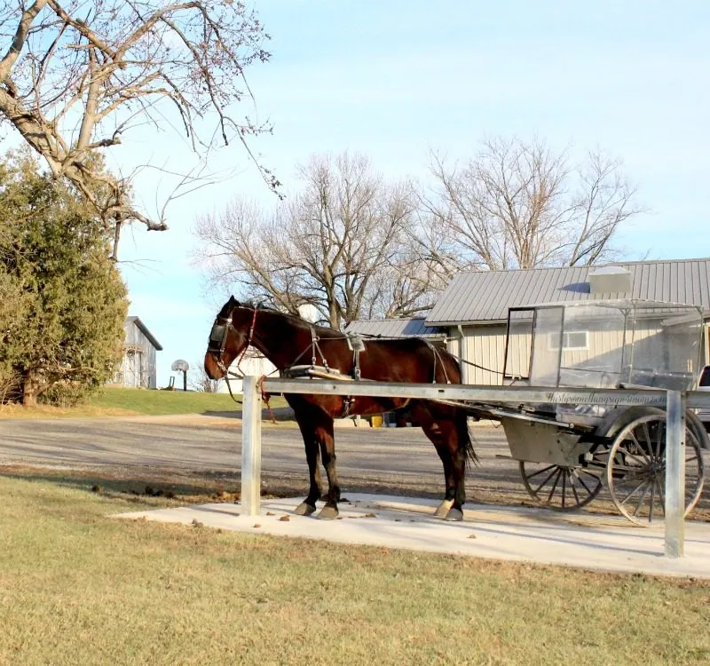 Travel to an Amish Paradise in Kalona Iowa 