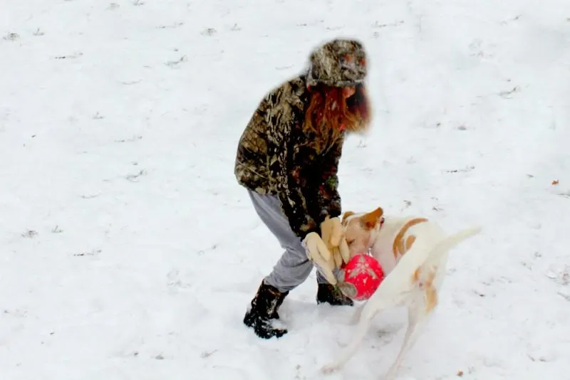 Winter Games for Dogs to Play