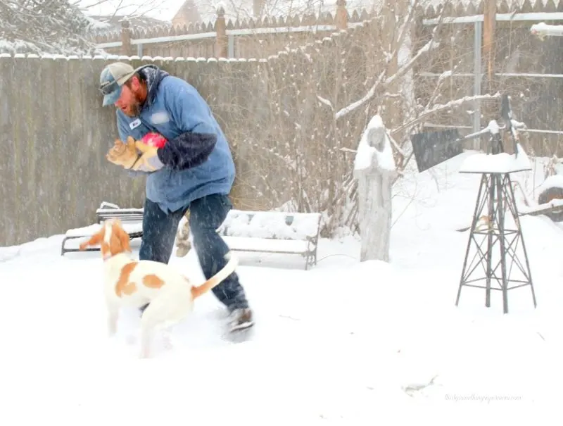 Winter Games for Dogs to Play