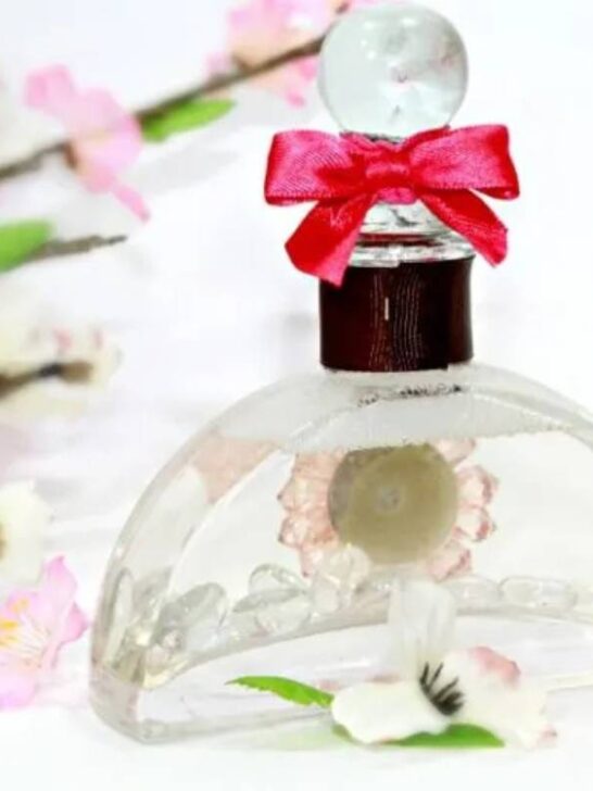 Homemade Air Freshener