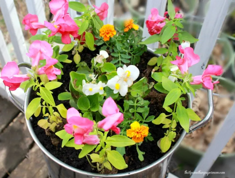 7 Creative Flower Planter Ideas for Your Garden 