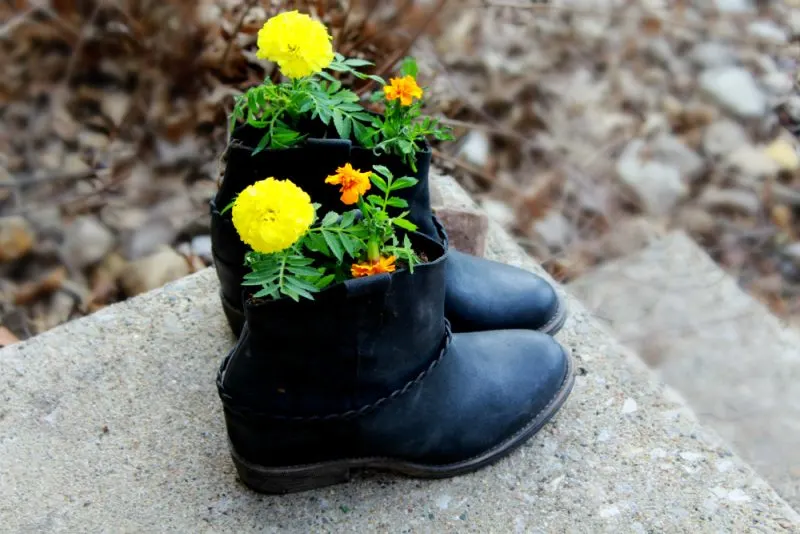 7 Creative Flower Planter Ideas for Your Garden 