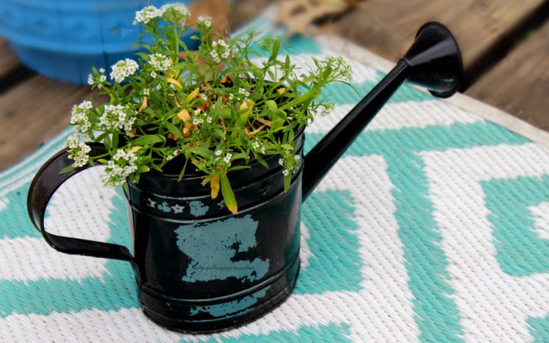 7 Creative Flower Planter Ideas for Your Garden 