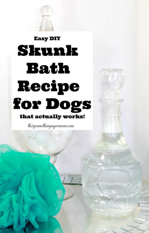 DIY Skunk Bath Recipe for Dogs