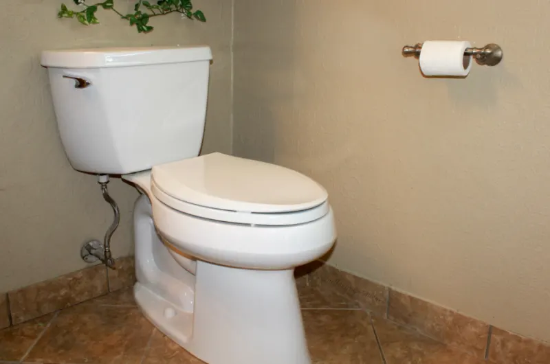 Clean a Toilet the right way, the first time!