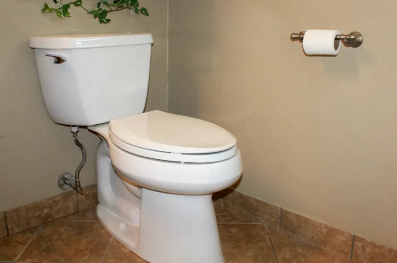 How to Clean a Toilet the Right Way