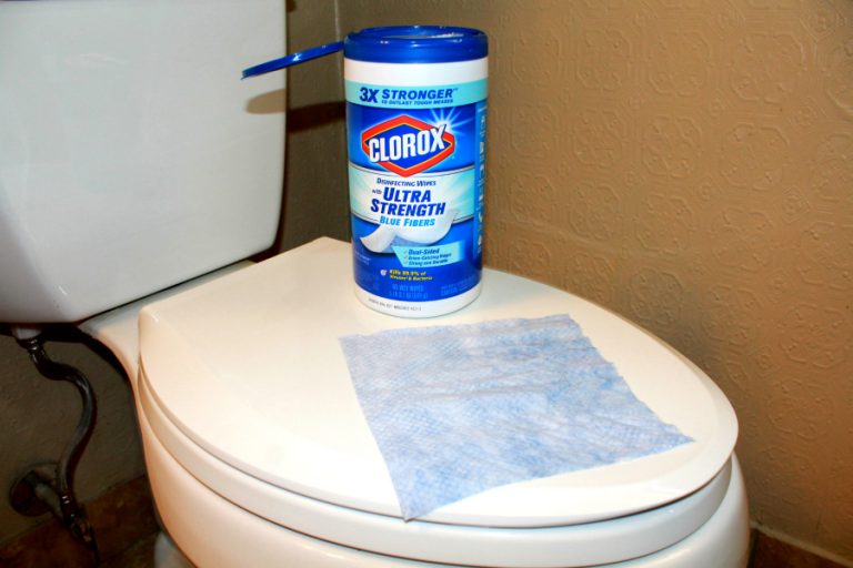 How to Clean a Toilet the Right Way ThirtySomethingSuperMom