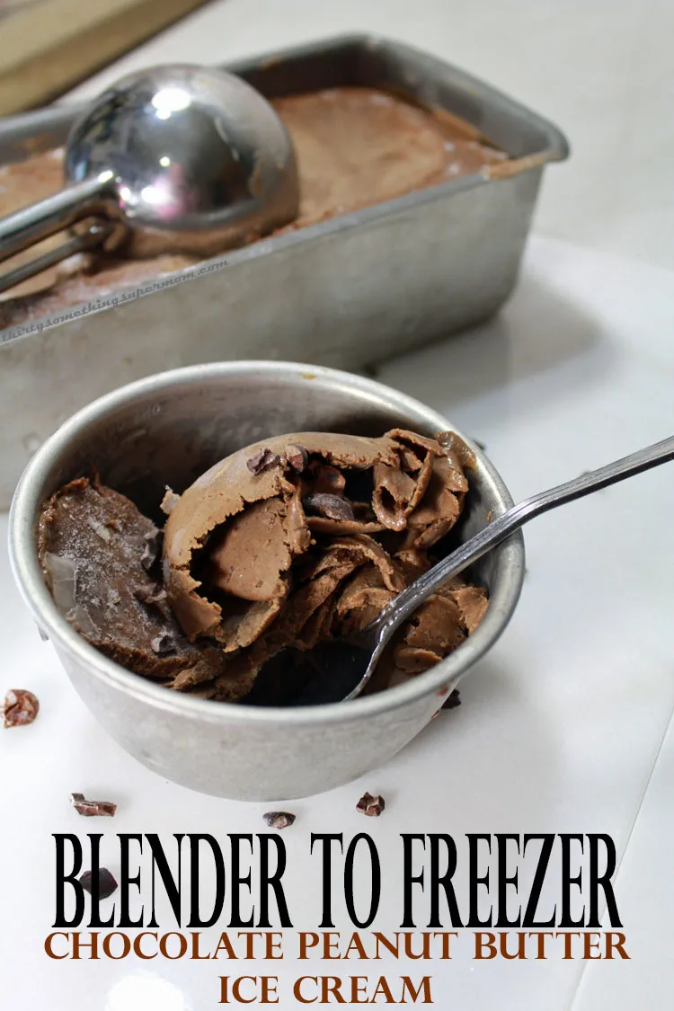 The Best Reese's Peanut Butter Ninja Creami Protein Ice Cream