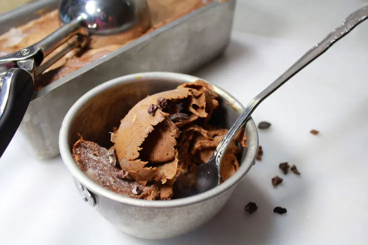 Chocolate Ice Cream With Utalent Immersion Blender 3 Ingredients and No  Machine! 