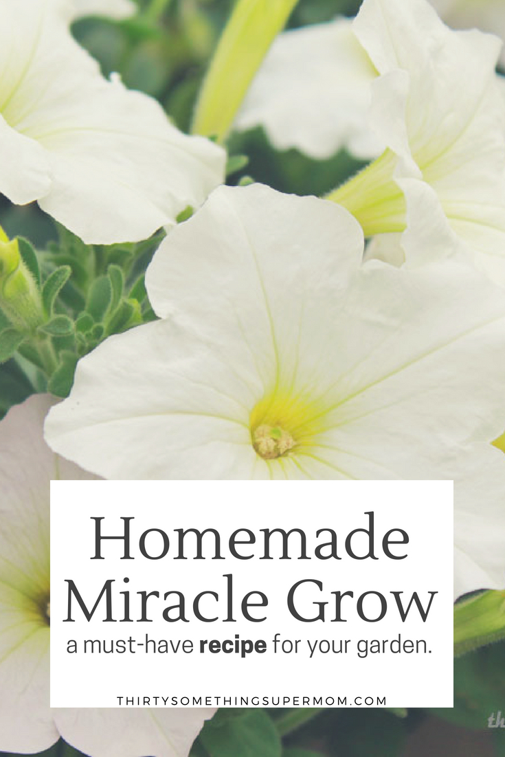 Homemade Miracle Grow Recipe 