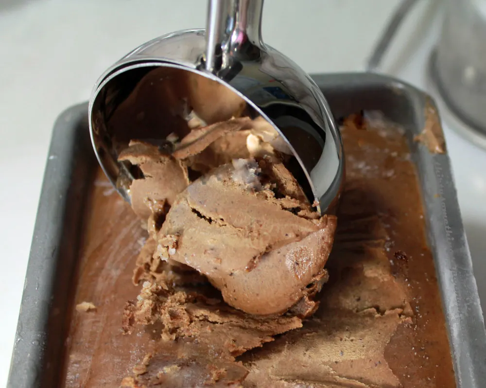 Chocolate Ice Cream With Utalent Immersion Blender 3 Ingredients and No  Machine! 