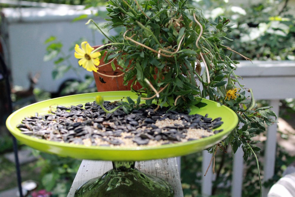 Crafty Ways to Repurpose Old Dishes In the Garden ThirtySomethingSuperMom