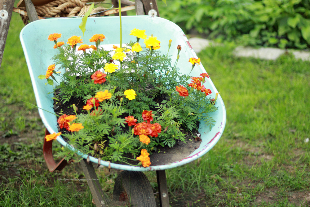 Whimsical Garden Tour Part 2 - ThirtySomethingSuperMom