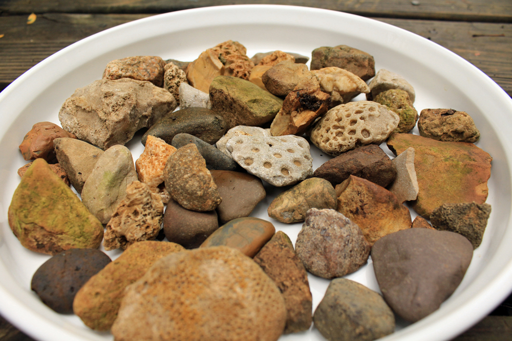 rocks for household plants 