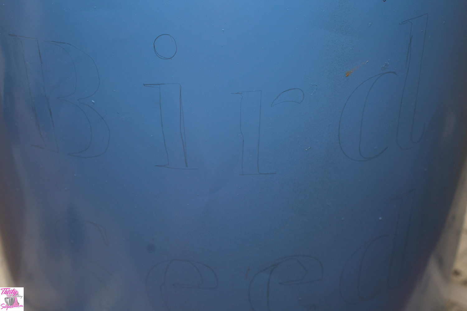 DIY Decorative Bird Seed Storage ThirtySomethingSuperMom