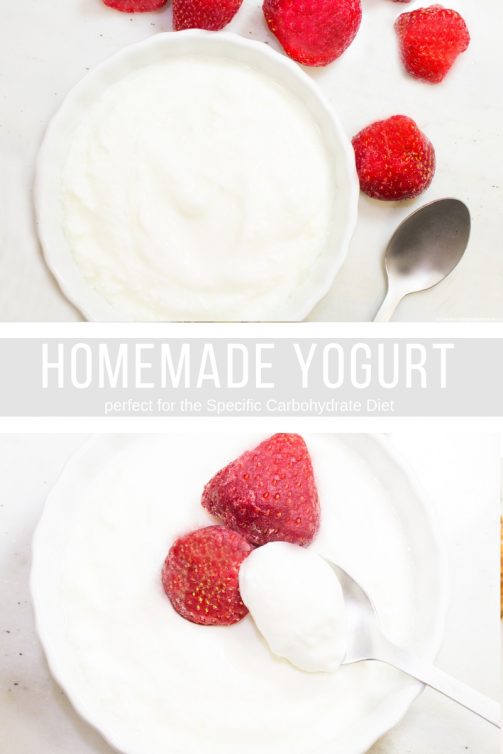 Homemade SCD Yogurt