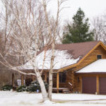 Cabin Fever