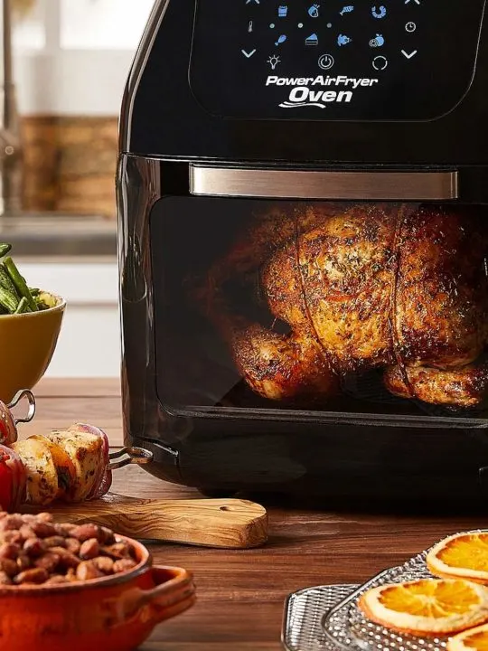 9 best air fryer dehydrator recipes