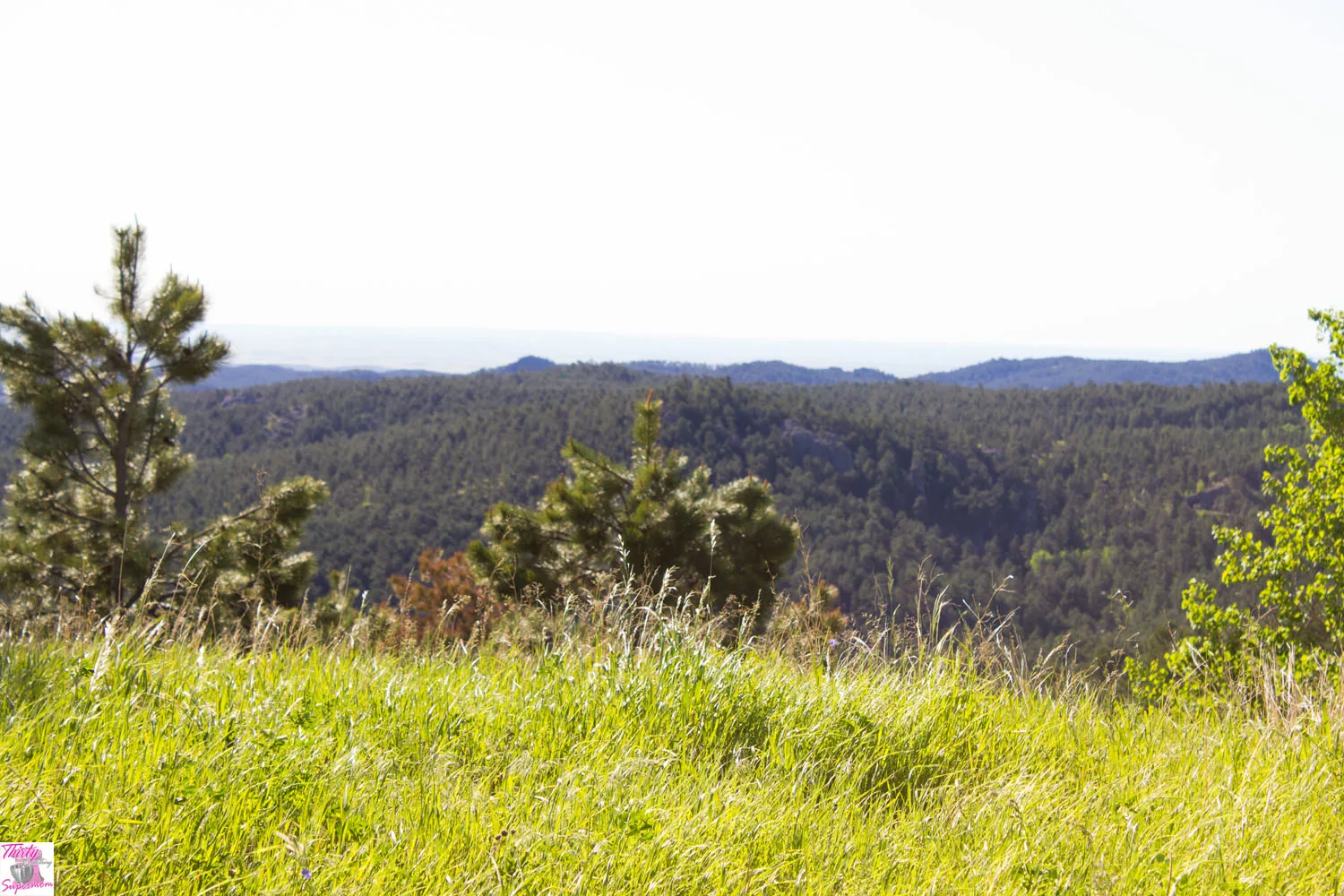 Things to do Near Mount Rushmore. 