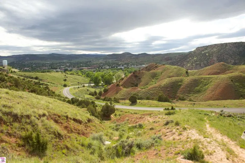 Buffalo and wildlife of thermopolis wyoming 