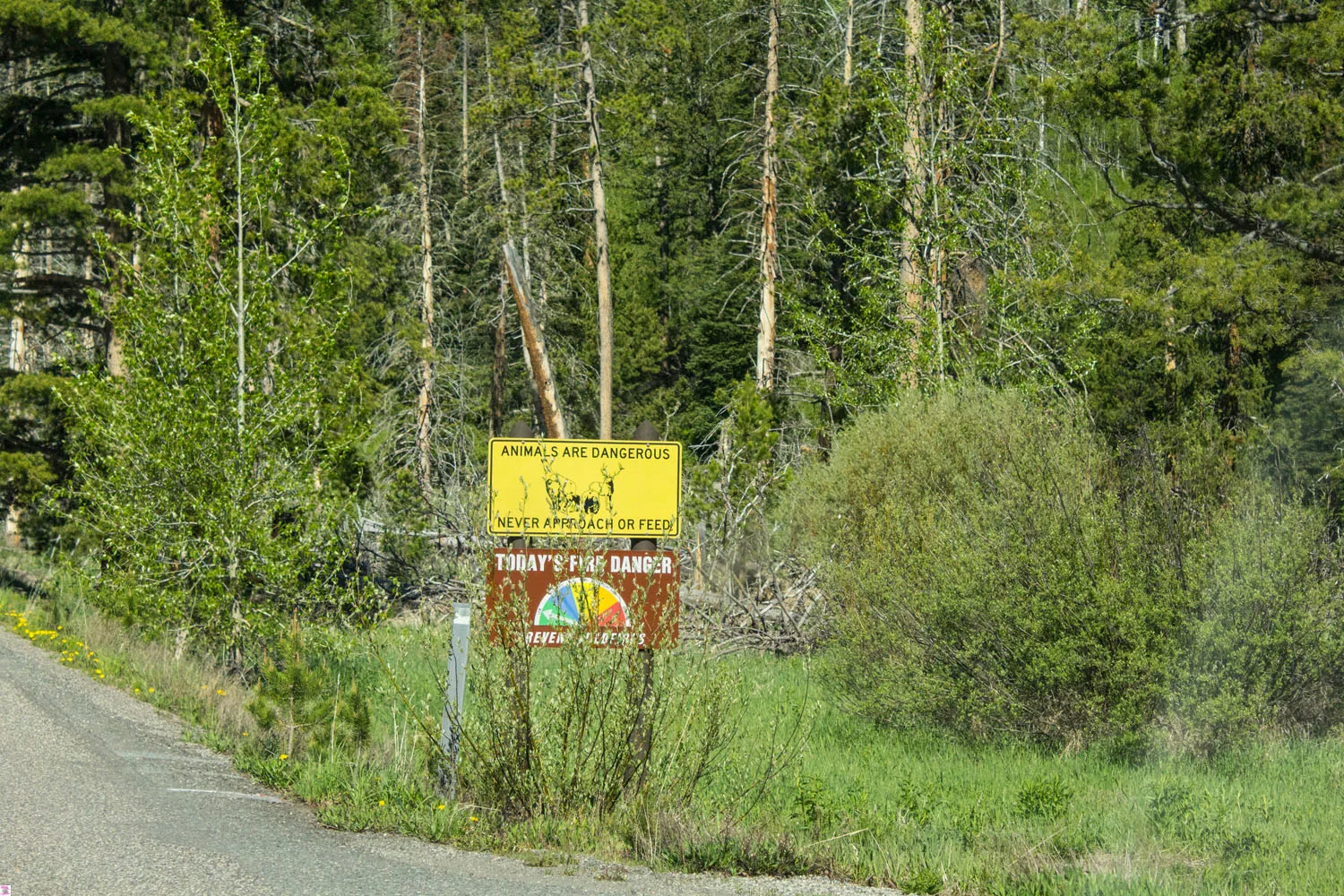 Yellowstone National Park