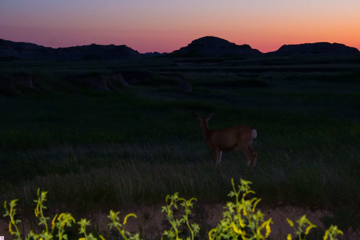 Badlands National Park