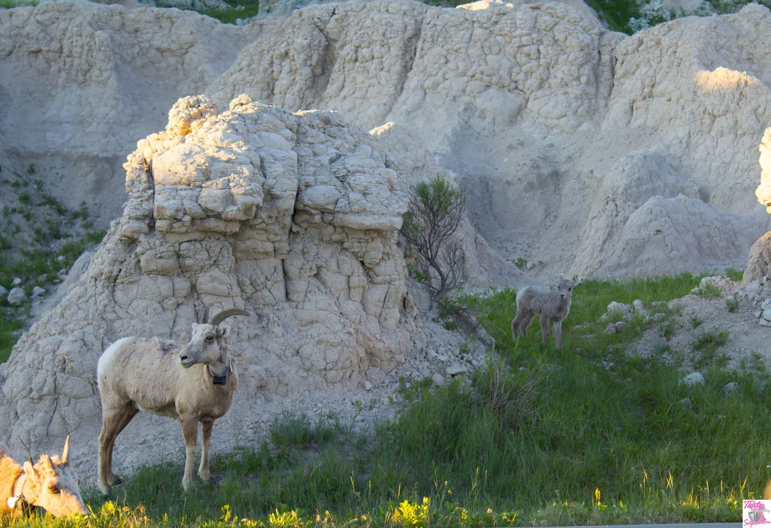 Badlands National Park