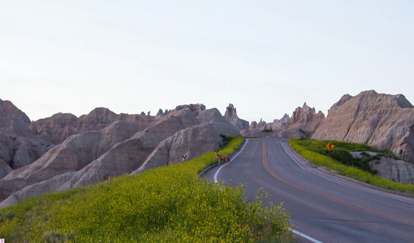 Badlands National Park