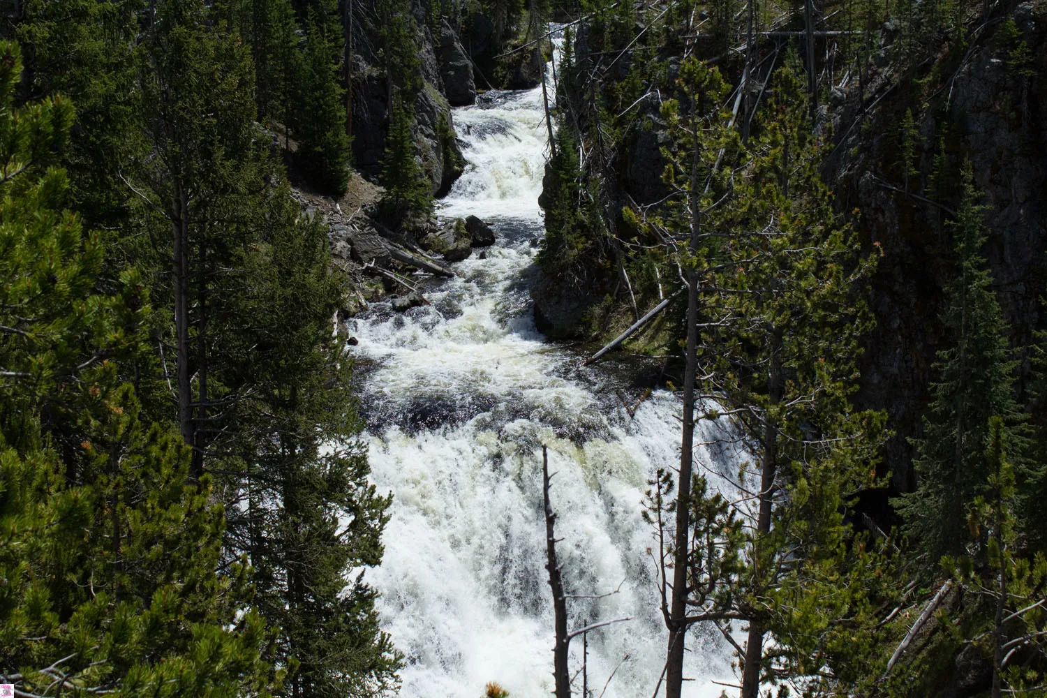 Yellowstone National Park