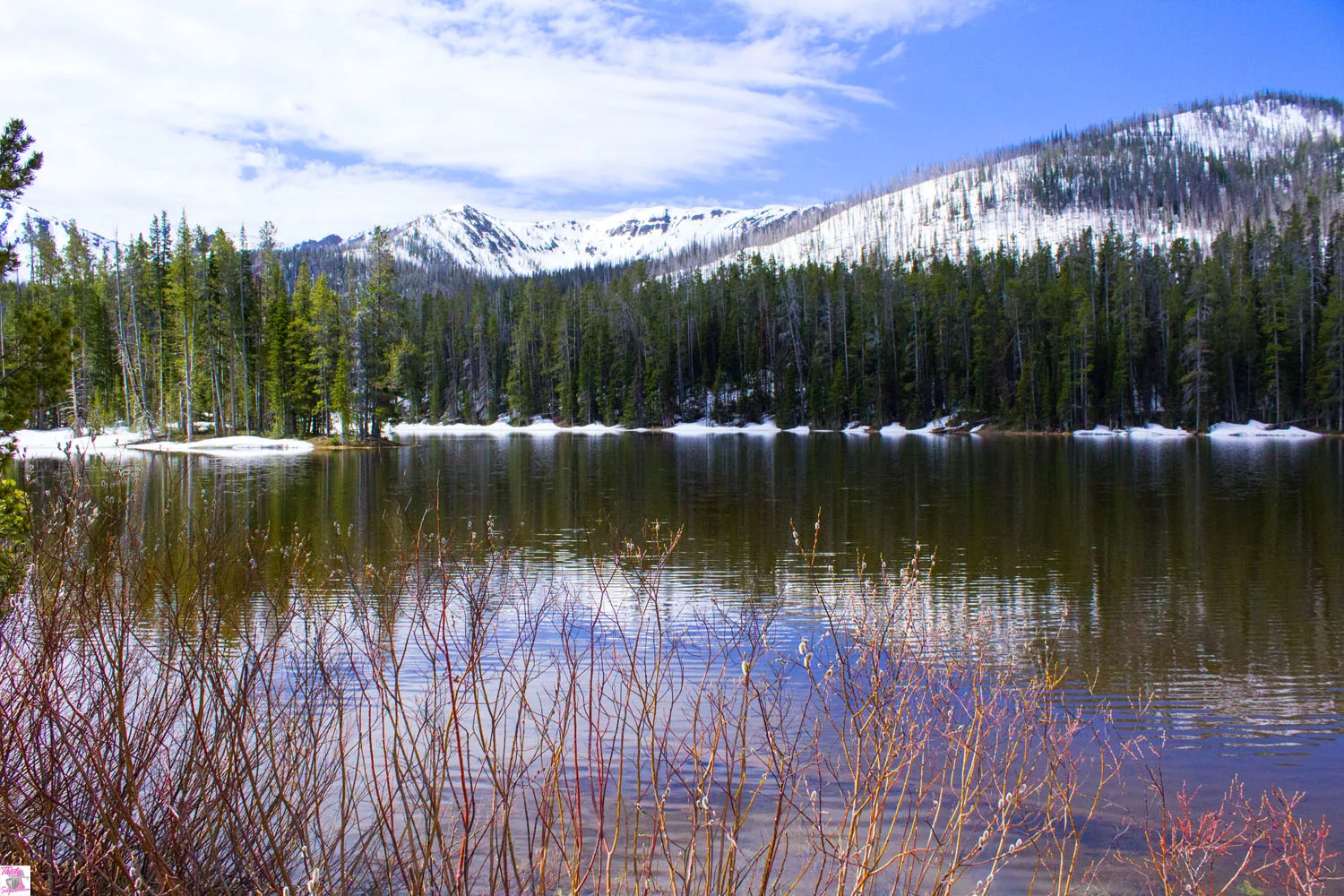 Yellowstone National Park - ThirtySomethingSuperMom