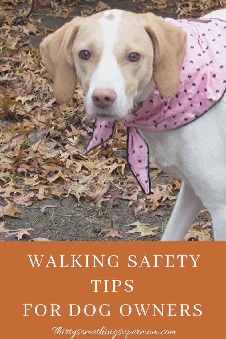 Dog Walking Safety Tips